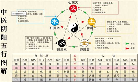 中醫五行屬性|中醫五行:基本概念,五行屬性及歸類,五行屬性歸類,五行。